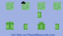 Weird Minecraft Skin