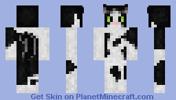 Black and White Cat Minecraft Skin