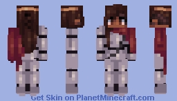 Paladin Minecraft Skin