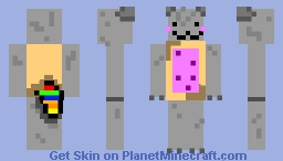 Nyan cat skin Minecraft Skin