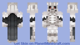 Skull Knight Minecraft Skin