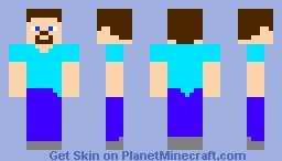 Backwards Minecraft Skin