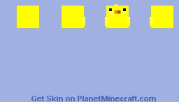 Chubby DUck Minecraft Skin