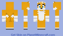 Shoeless Tails (when Zoomed To The Model Minecraft Skin