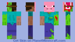 hide Minecraft Skin