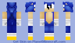 JOÃO O OURIÇO Minecraft Skin