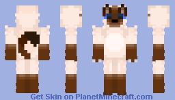 Siamese cat! Minecraft Skin
