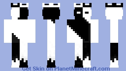 Black and white Minecraft Skin