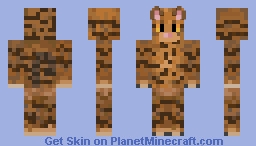 Carter the Cat Minecraft Skin