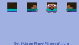 Steve Head Skin Minecraft Skin