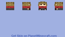 Plushie Grian Minecraft Skin