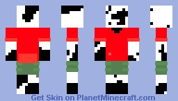 A Skin With No Meaning Minecraft Skin