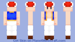 Toad (Alts in Description) Minecraft Skin
