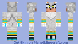 Silver Minecraft Skin