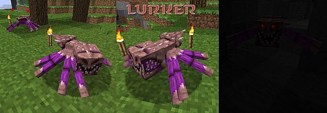 Spider as Lurker