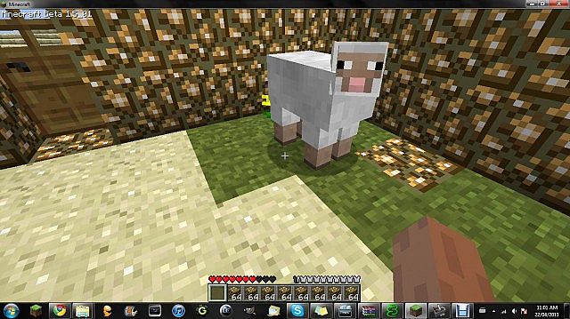 My first visitor Mr.Sheep lol