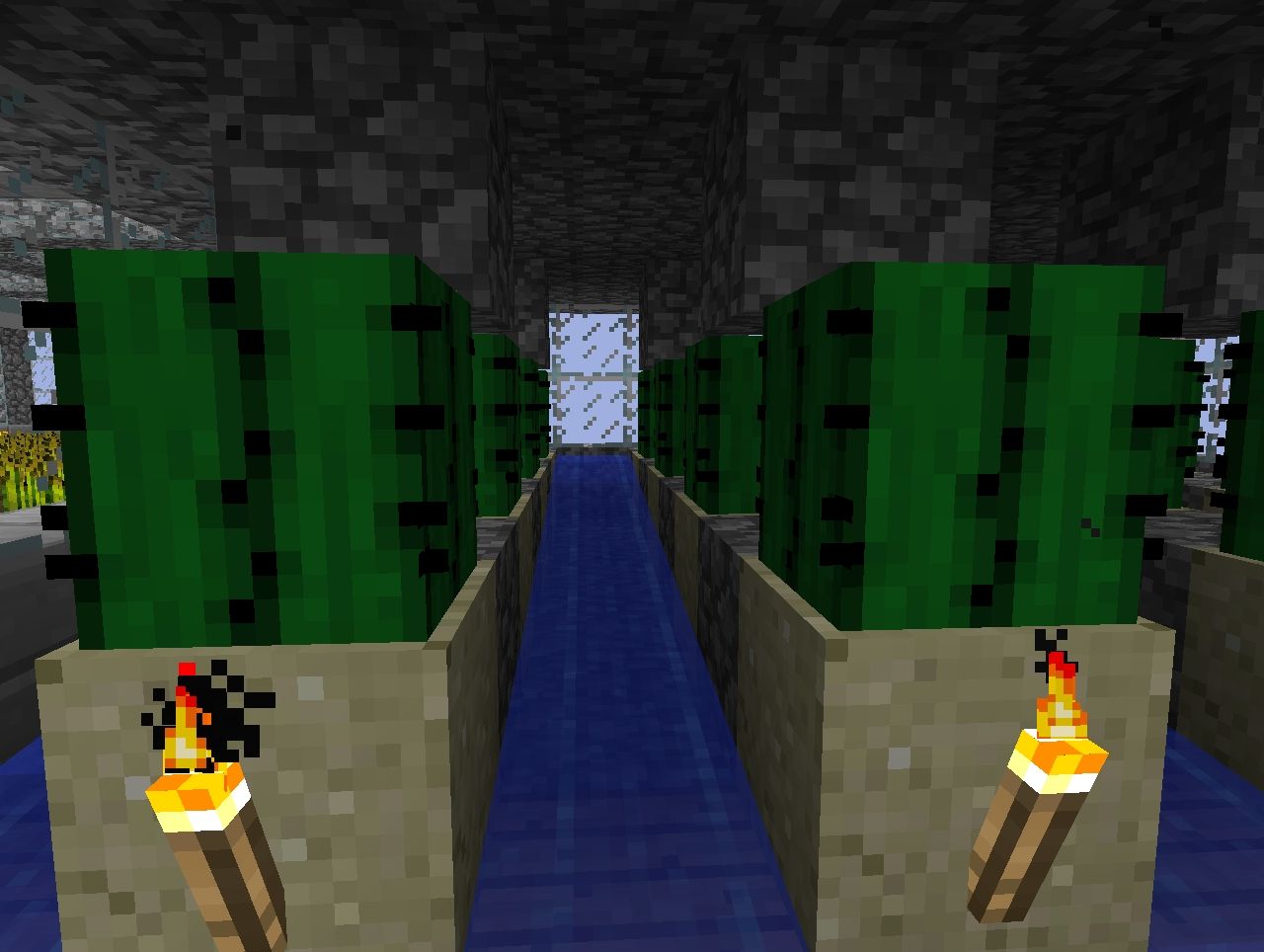 Automated Cactus Farm Minecraft Map