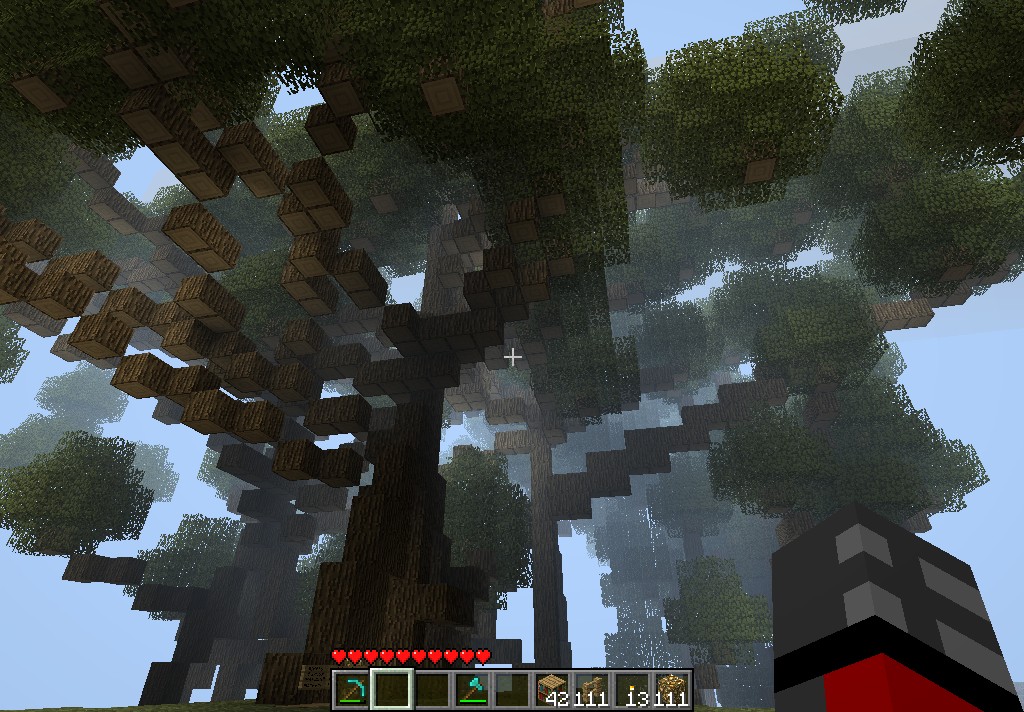 one of the many mangrove trees on the server