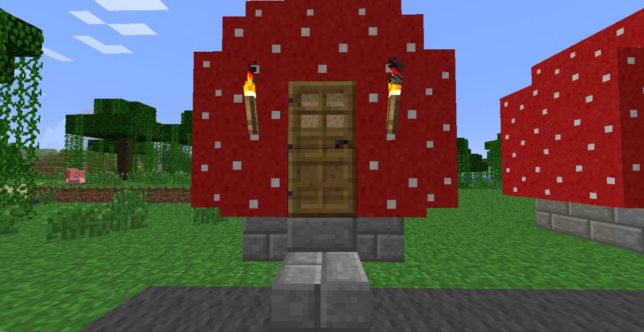 Toad's Village Minecraft Project