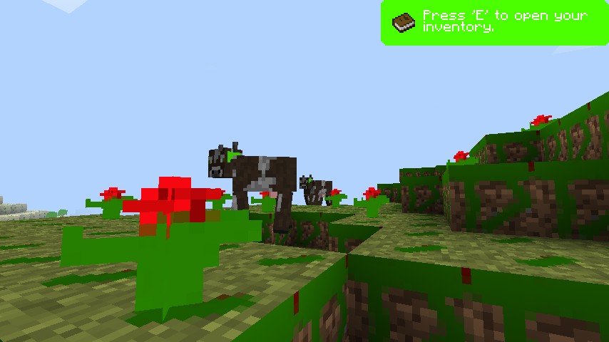 COOOOWSSS (and red flowers)