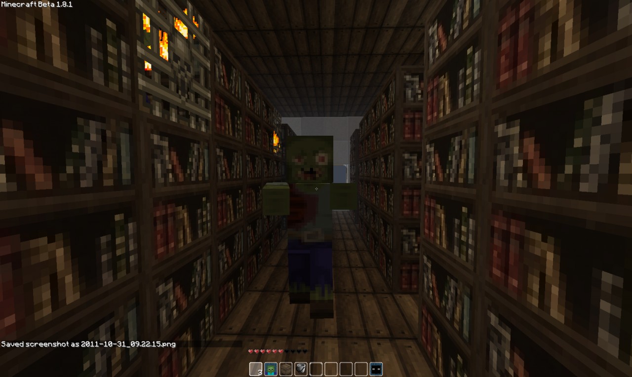 library Minecraft Map