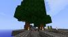 Tree Farm