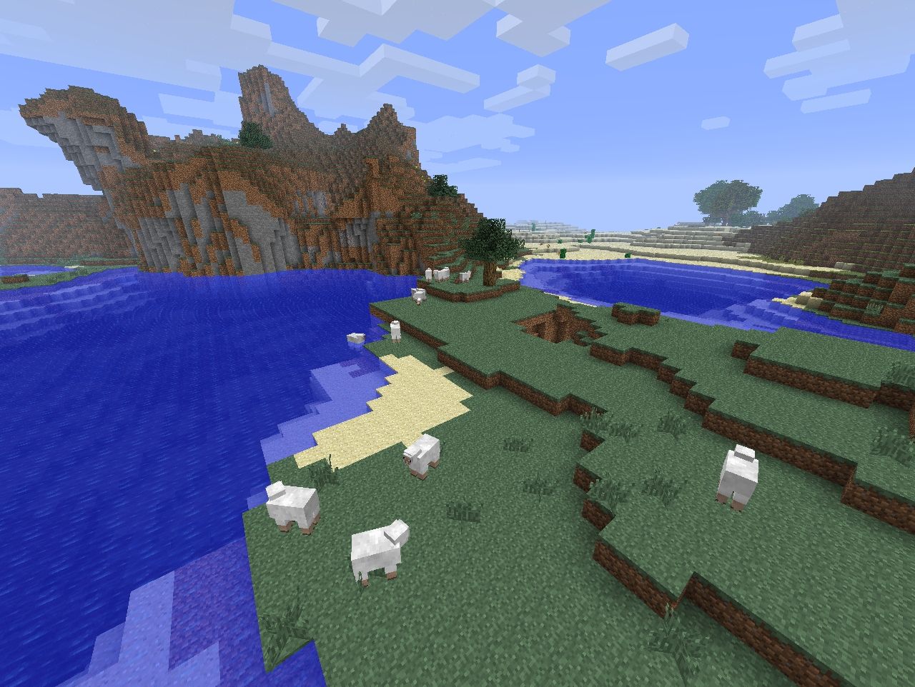 SHEEPS EVERYWHERE!
