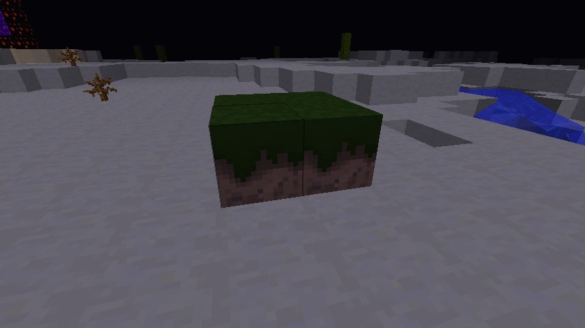 Grass