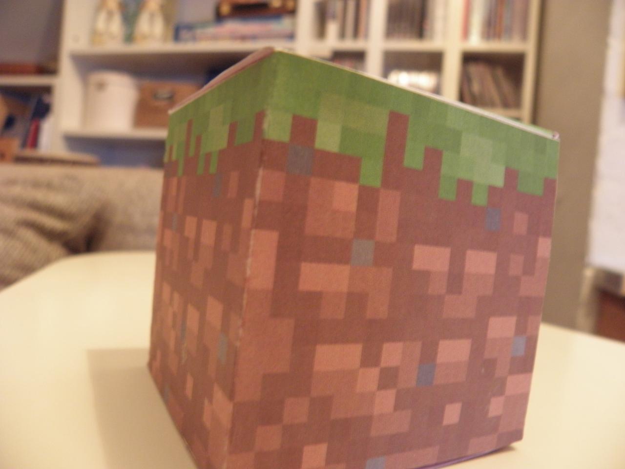 Grass block in real life Minecraft Project