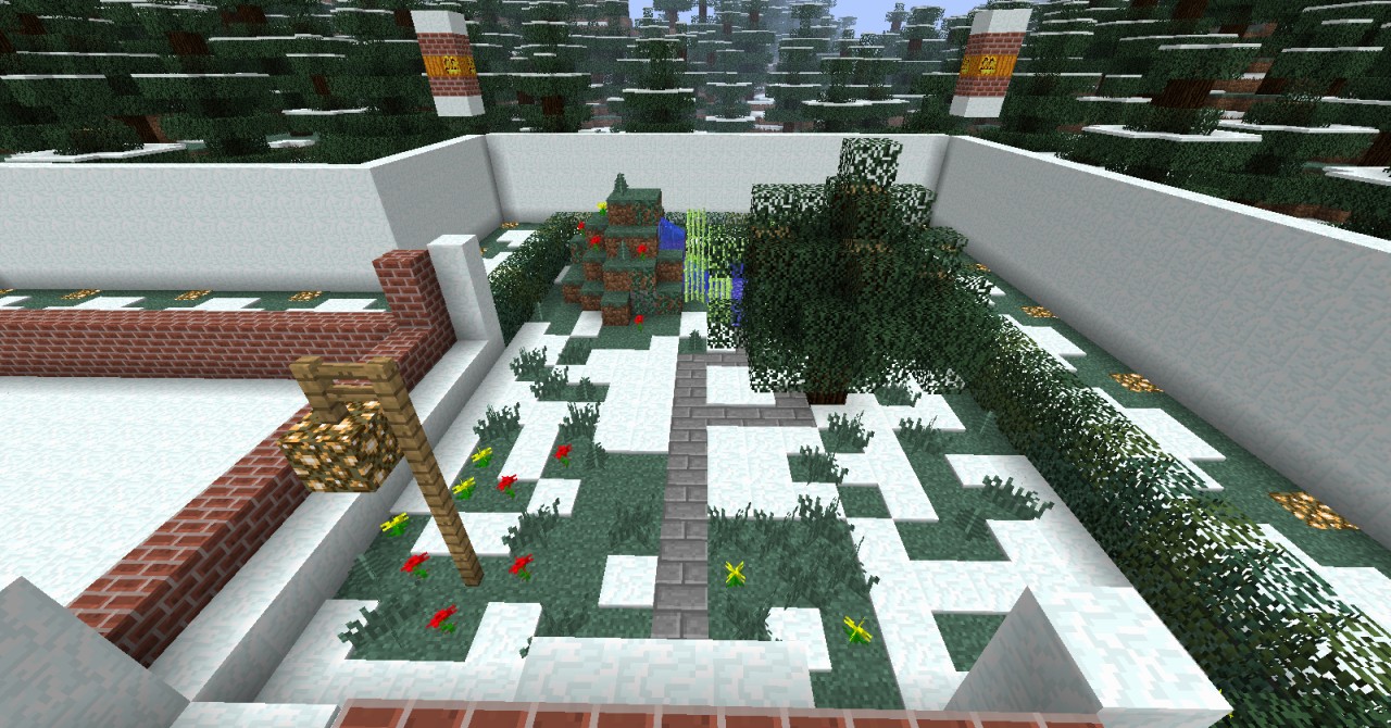 the backyard