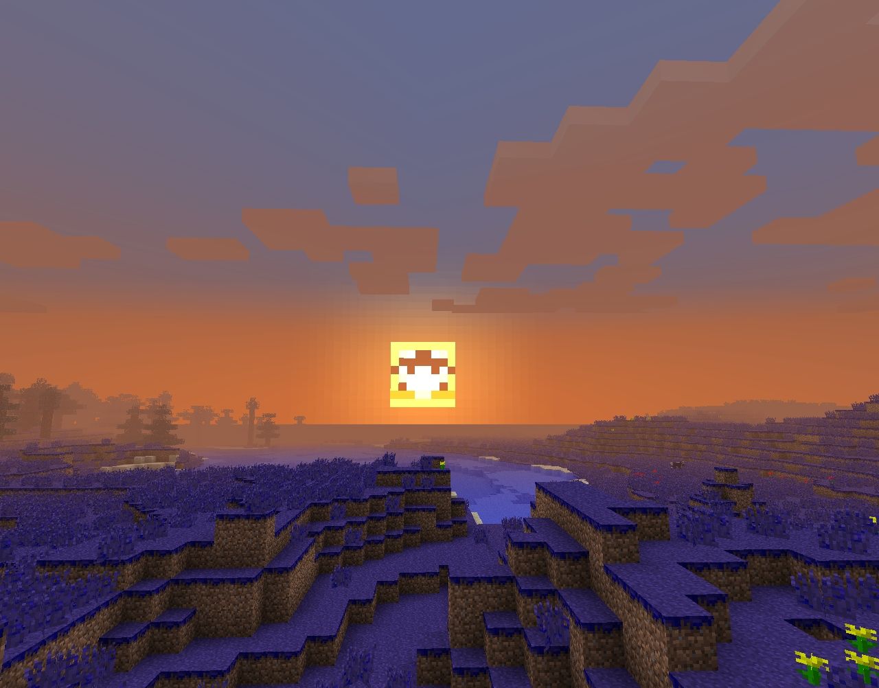 A quirky new sun!