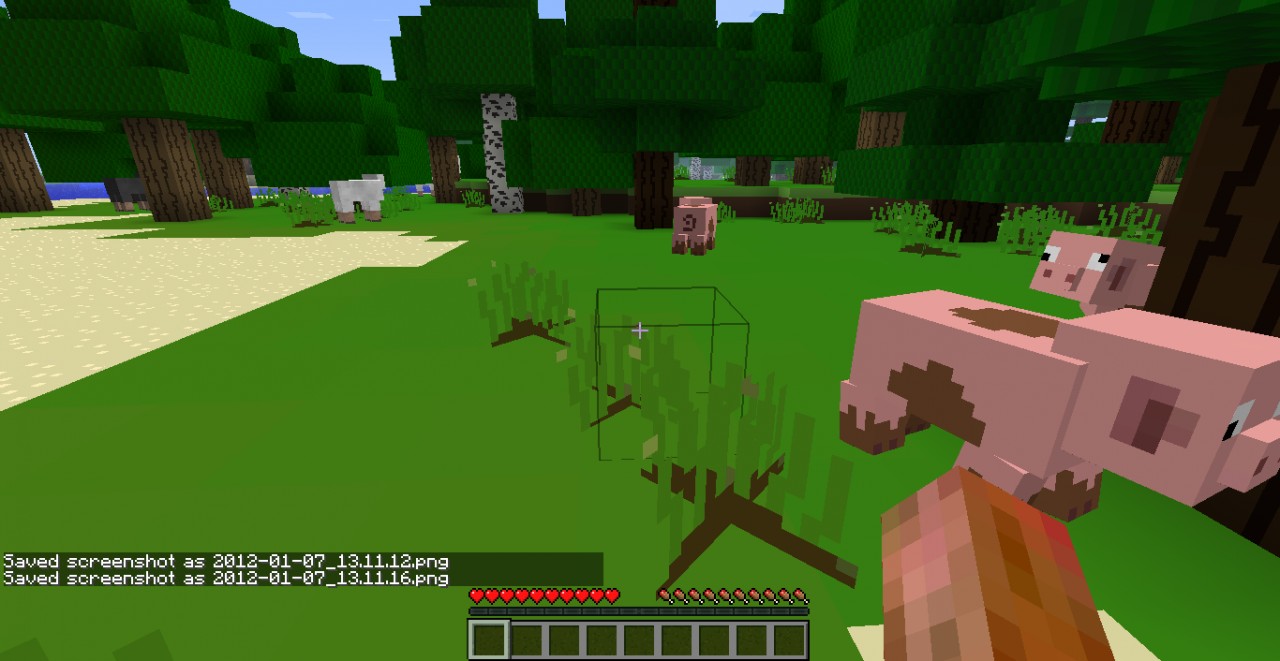 Piggies!!