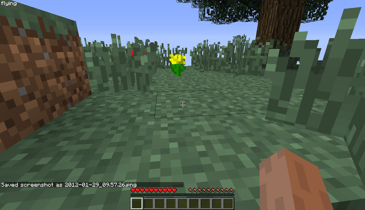 survival skyland Minecraft Map