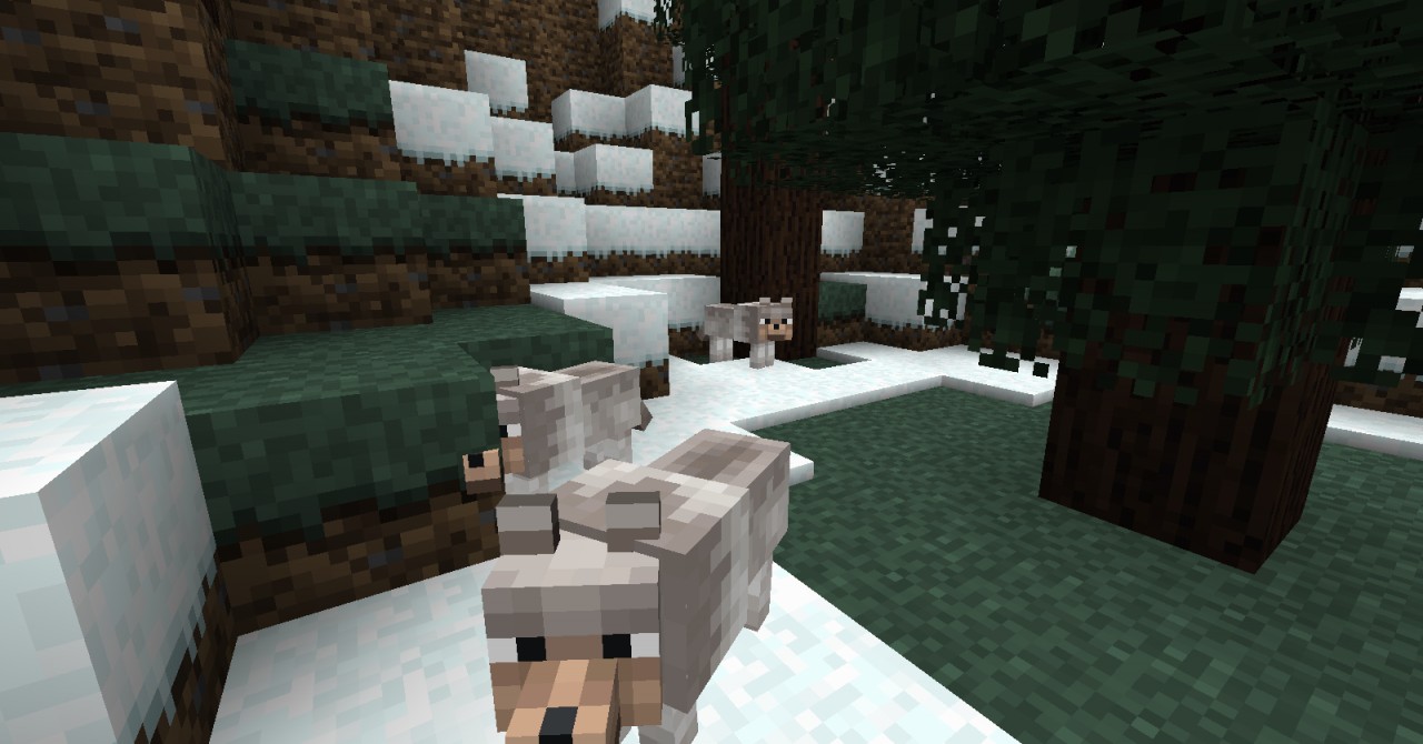 BEST SNOW BIOME Minecraft Map