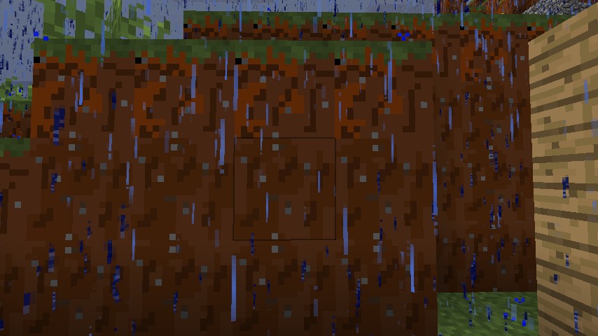 The dirt