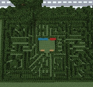 Hedge Maze from above