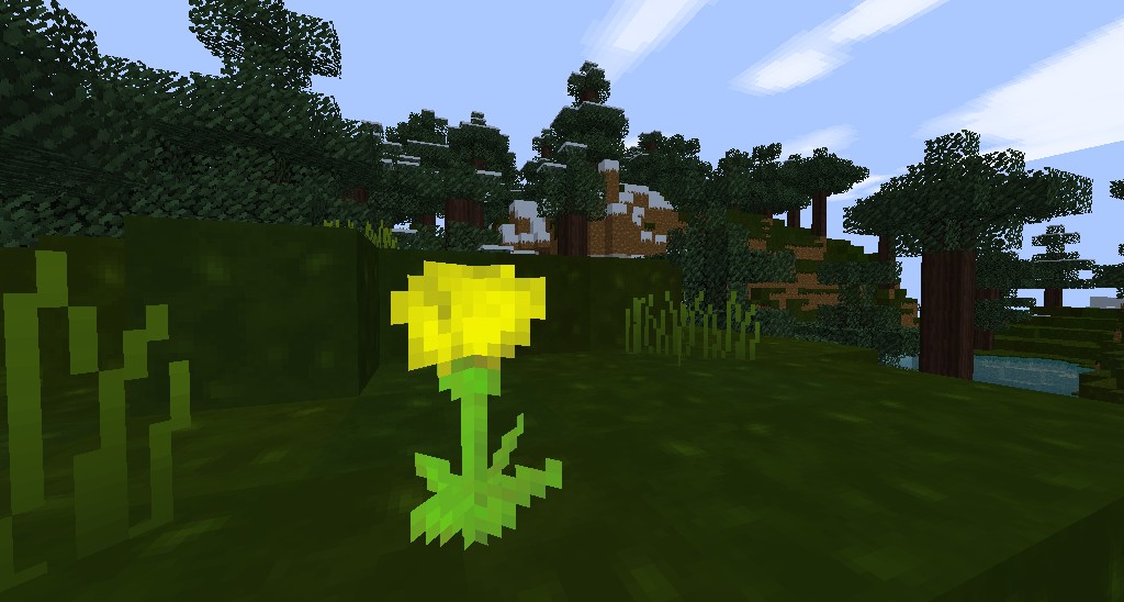 FlowerPower. (old)