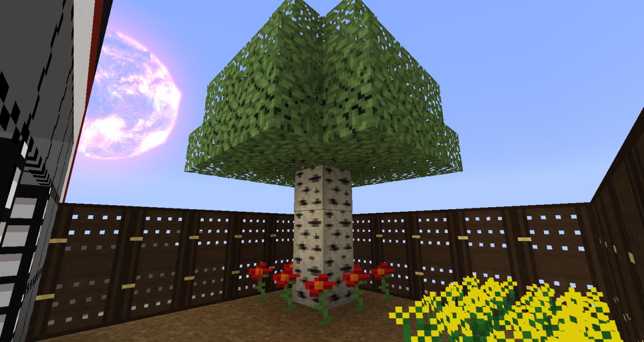 Backyard Garden