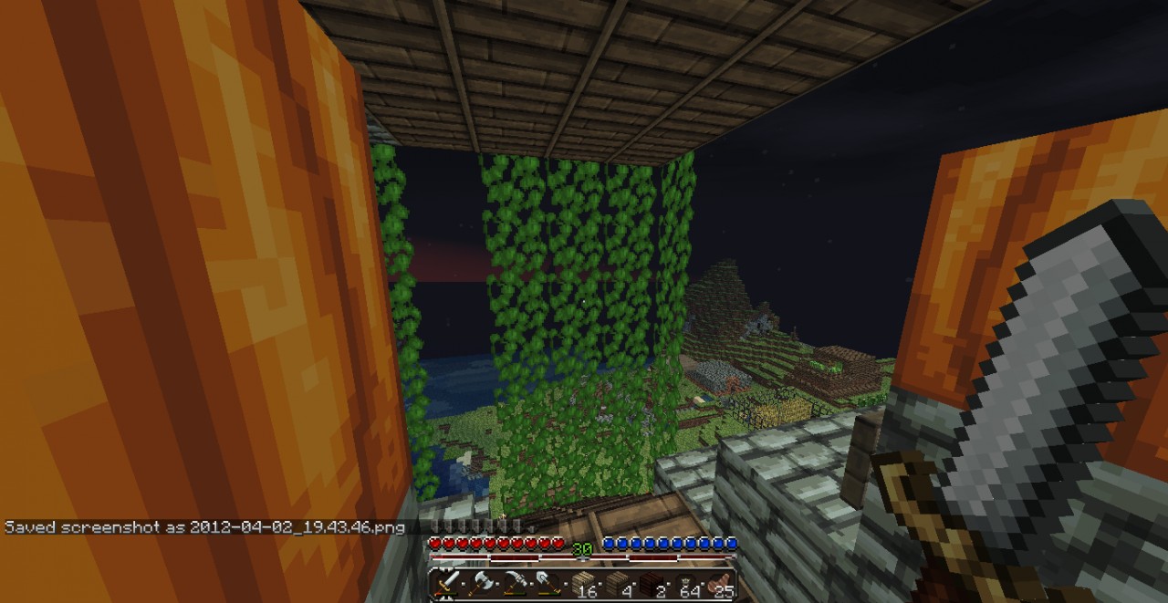 Vine house Minecraft Map