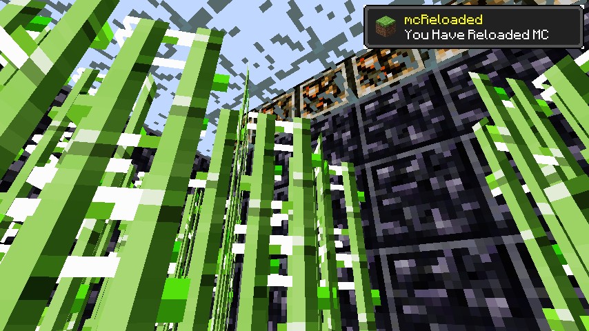 SugarCane Farm