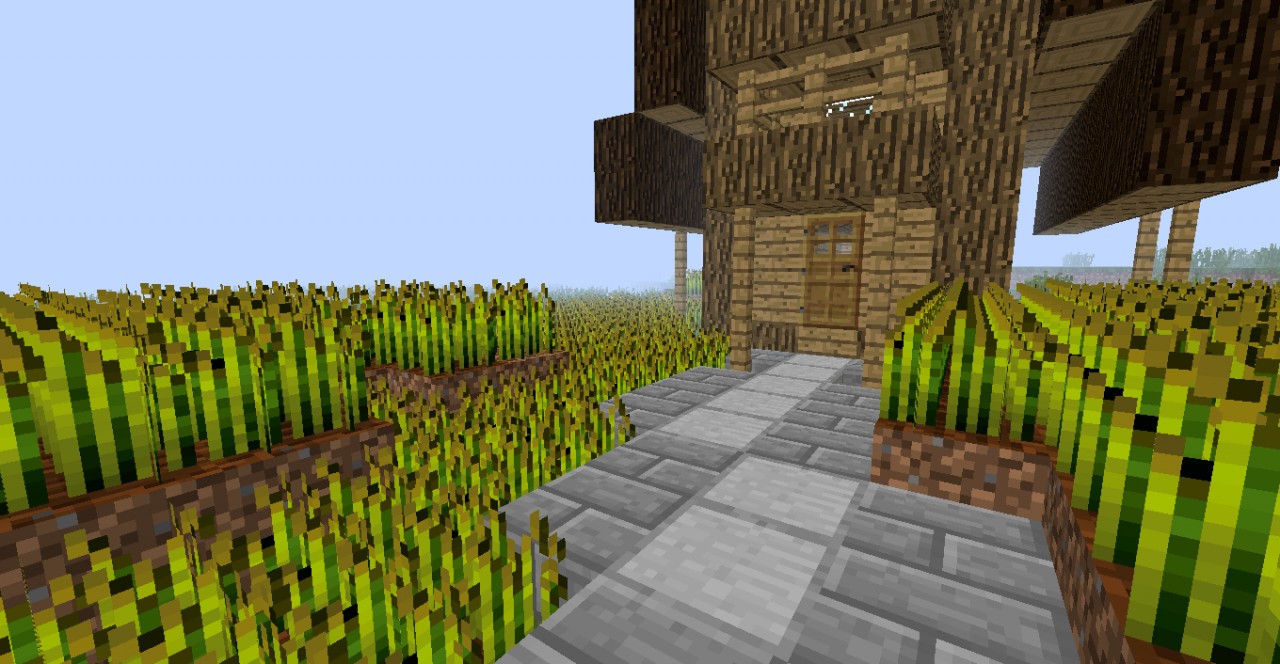 The Grasslands, Home. Minecraft Map