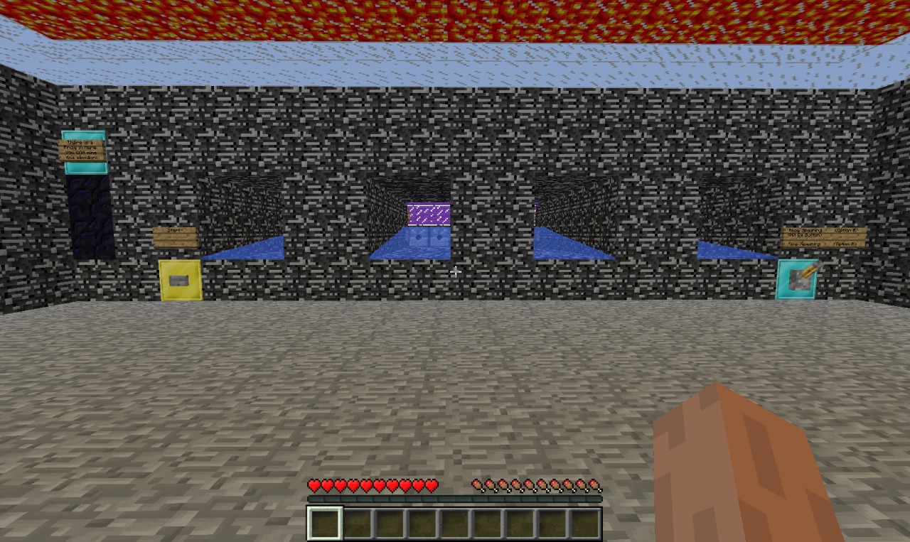 The Arena
