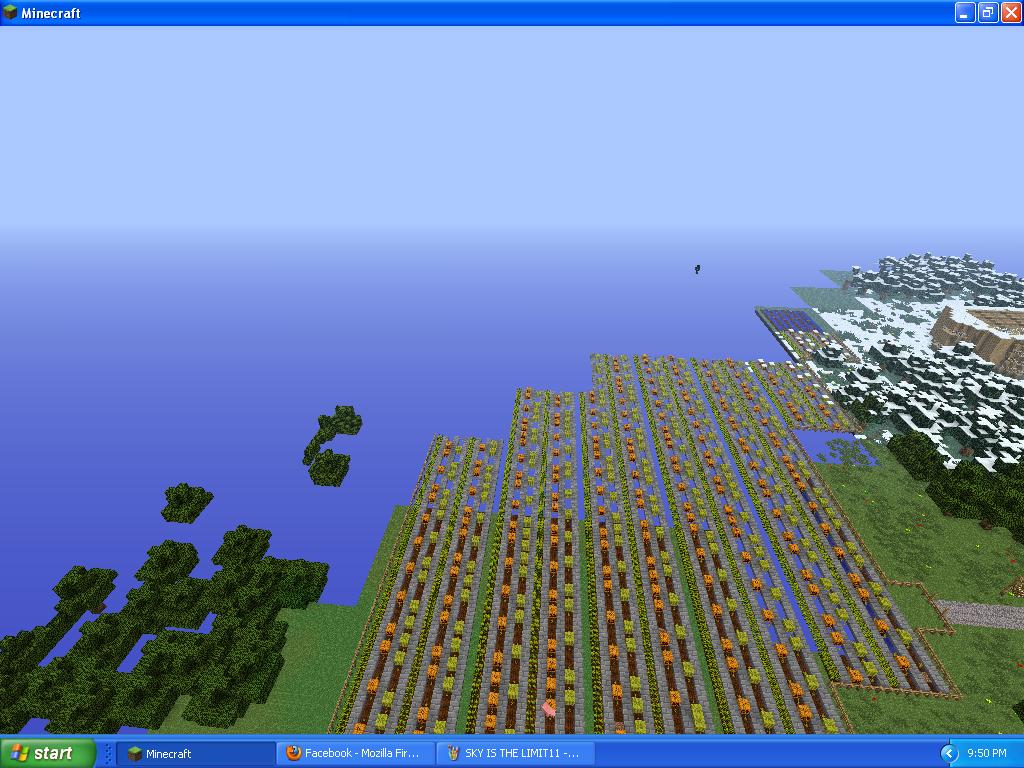 Sky Is the Limit The village of the NPCs Minecraft Map