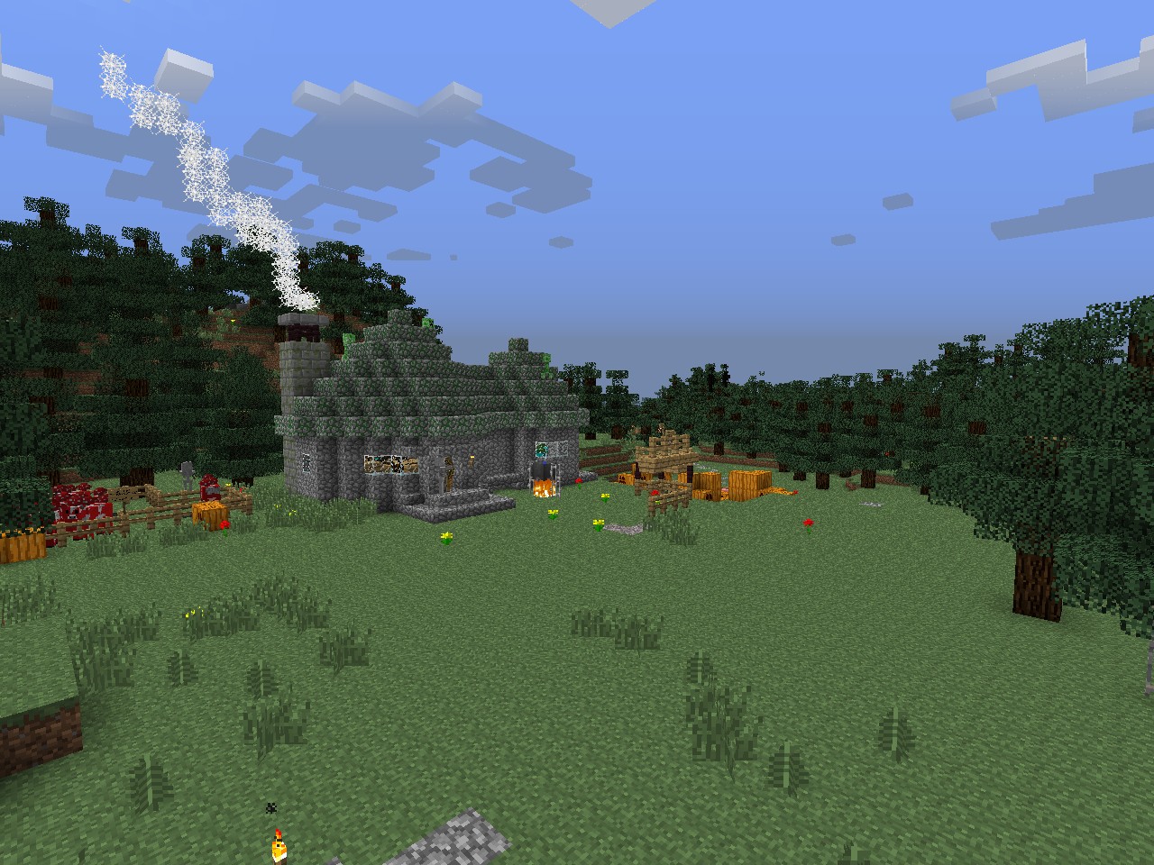 Hagrid Hut / Chatka Hagrida