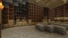 Library / Biblioteka Minecraft Map