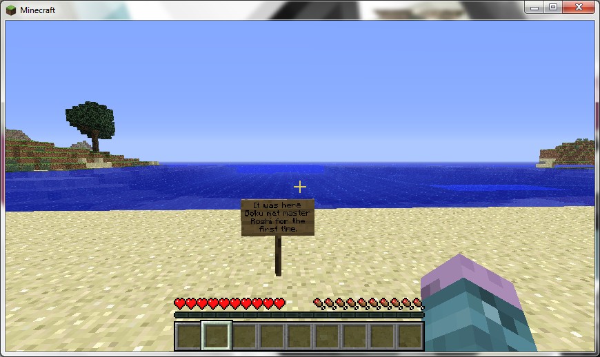 the beach