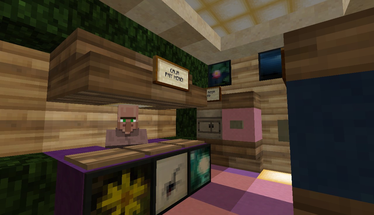 DYES STORE Minecraft Map