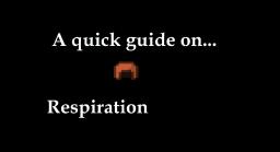 [ Quick guide on Respiration ] Minecraft Blog
