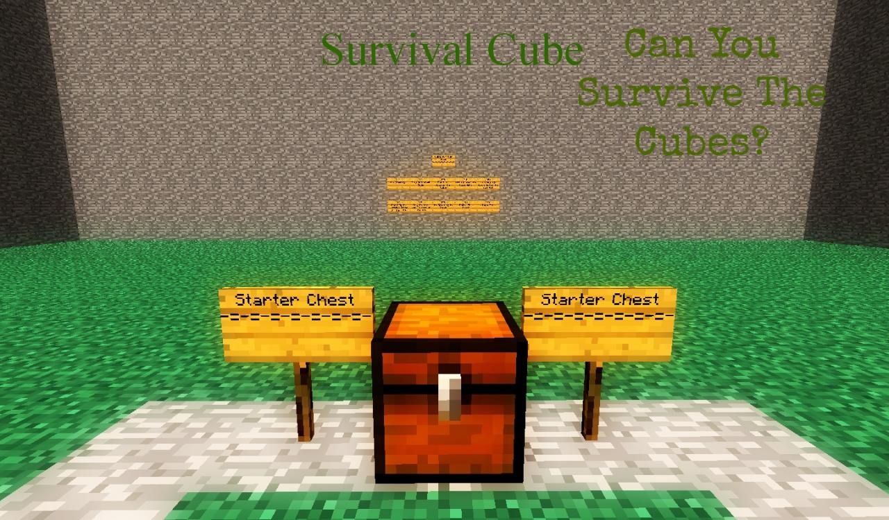 Survival Cube...Can You Survive The Cubes?