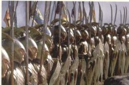 BoA RPG Server - Server rules Minecraft Blog